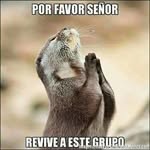 Marcos Mancha - @juanmarcosmanchavicente382 - Instagram