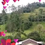 Marcos Martines - @marcos.martines.306837 - Instagram