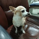 Marcos Mayén - @mayenarce68 - Instagram