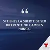Marcos Melchor - @marcosmelchor5 - TikTok
