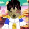 Marcos Meraz - @marcos.meraz6 - TikTok