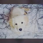 Marcos Andrés monroy García - @marcosmonroy10 - Instagram