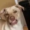 Marcos Negron - @marcos.negron3 - TikTok