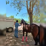 Marcos Nevarez - @marcosnevarez813 - Instagram