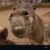 Marcos Salgado - @marcos.salgado93 - TikTok