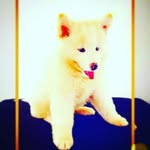 Marcos segundo - @marcos_vcsegundo - Instagram