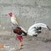 Marcos Sierra - Facebook