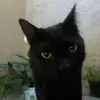marcos_sierra_ - @marcos_sierra_ - TikTok