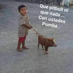 Marcos Terron - @marcos.terron.14 - Instagram
