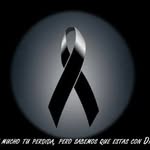 Marcos Vides - @marcos.vides.18 - Instagram