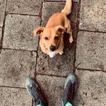 Marcus Grabner - @marcus_grabner - Instagram