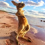 Marcus Albert - @marcusalbert2606 - Instagram