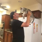Marcus Alfaro - @mcalf33 - Instagram