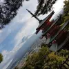 Marcus Ali - @marcus.ali77 - TikTok