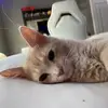 Marcus - @.marcus.alt - TikTok