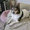 marcus antoneo - @marcus.antoneo - TikTok
