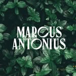 Marcus Antonius Curaçao - @marcusantonius_curacao - Instagram