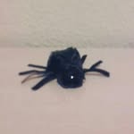 Marcus la Araña - @marcus_thespider - Instagram
