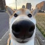 @marcus._.ardelean - Instagram