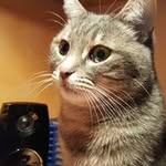 Marcus - @marcus_ard64 - Instagram