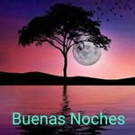 Marcus Arelius - @youtuberdioz - Instagram