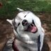 Mark Arp-Aarf - Facebook