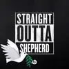 Marcus Ashford - @marcus.ashford - TikTok