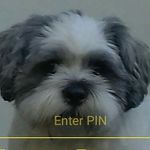 marcus Ashford - @thegreatest.person - Instagram