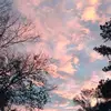 Marcus Askew - @marcusaskew - TikTok