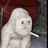 Marcus - @marcus.ottaway - TikTok