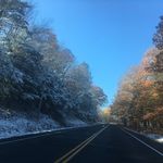 Marcus Bacon - @marcusbaconbus - Instagram