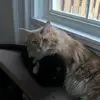 Marcus Barber - @marcus.barber8 - TikTok