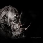 Marcus Baronet - @marcus_baronet_photography - Instagram