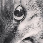 Marcus Barrios - @tinnysdetr - Instagram