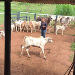 Marcus Barros - @marcusbarros16 - Instagram