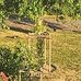 Markus Barth - Facebook