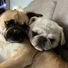 markusbachmann21 - @markus.bachmann0 - TikTok