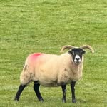 marcus baxter - @marcus.6298 - Instagram