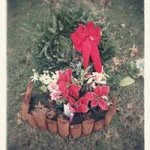 Marcus Benning - @mbenning123 - Instagram