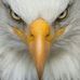 Marcus Bernard - Facebook