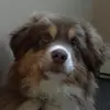 marcusbernier - @marcusbernier - TikTok