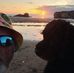 Marcus Blackman - Facebook