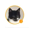 Marcus Blade - @marcus.blade - TikTok