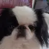 marcusblanco64 - @marcusblanco64 - TikTok