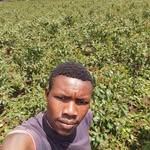 MARCUS BONIEH - @boniehmarcus - Instagram