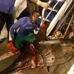 Marcus Boniface - @bonifacemarcus - Instagram