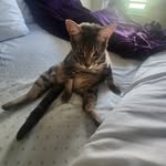 Marcus N.Bonilla - @marcusn.bonilla - Instagram