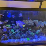 Marcus Boone - @drdsgb - Instagram