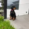 Marcus Borg - @marcusborg.22 - TikTok