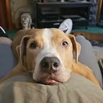 Marcus Bragg - @braggmarcus - Instagram